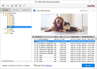 Stellar Photo Recovery