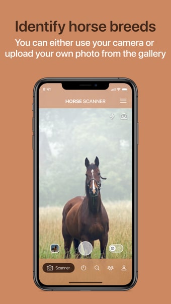 Horse Scanner