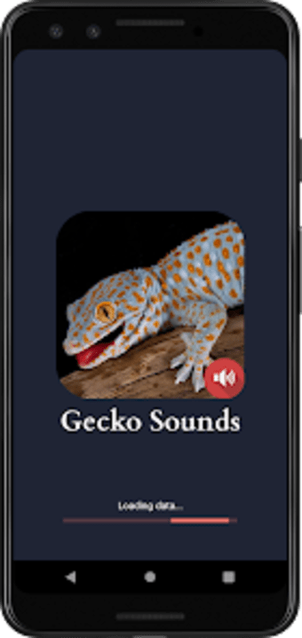 Gecko Sounds