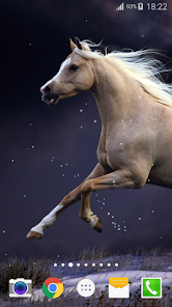 Horse Live Wallpaper