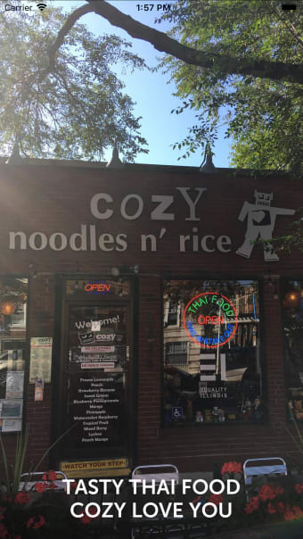 Cozy Noodle n Rice Chicago