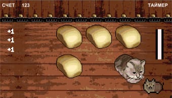 Cat or Bread?