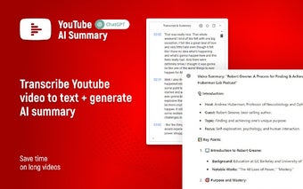 YouTube AI Summary