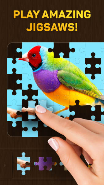 Jigsaw Puzzles for You