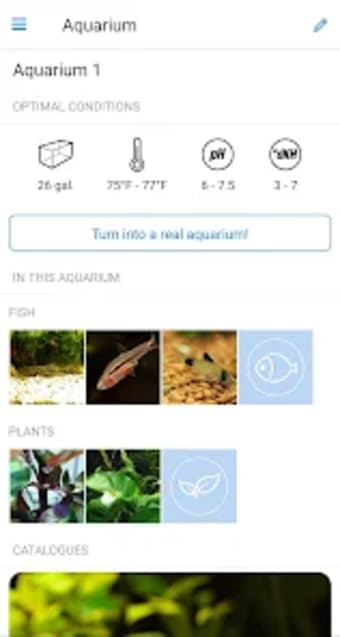 Aquareka - the aquarium guide