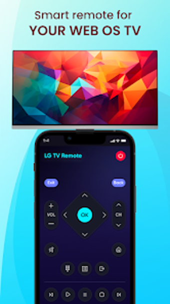 LG TV Remote Control: lgtv