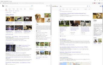 Double Shot Search: Query side-by-side