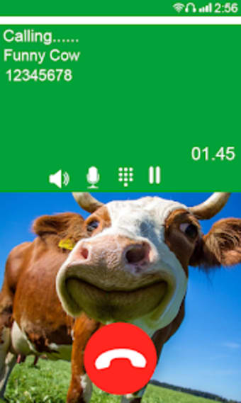 Cow Dance Fake Video Call
