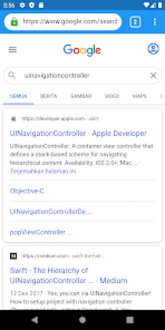 Browser for Developer
