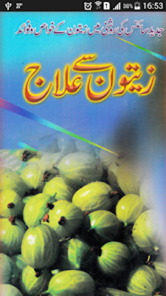 Zaitoon Olives Say ilaj