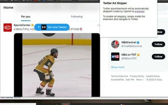 Twitter Ad Skipper