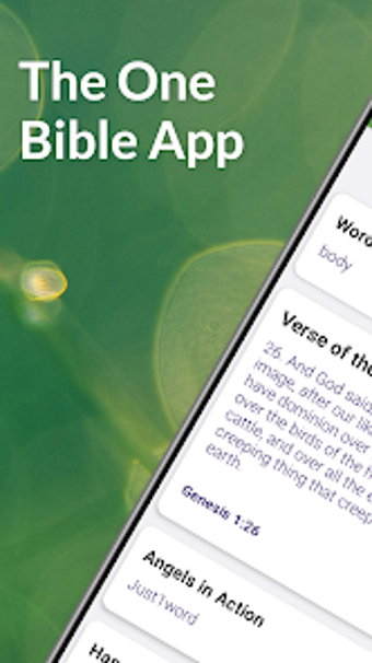 The One Bible App