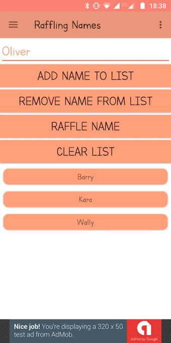 Raffle: Names and Numbers
