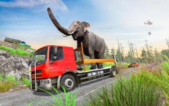 Zoo Animal Truck Transporter 2019