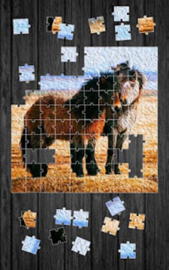 Horses Jigsaw Puzzle Game