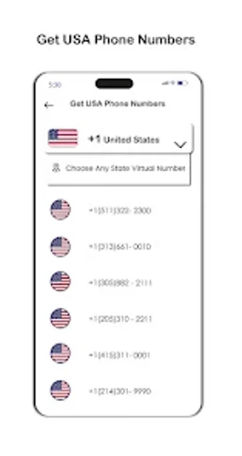 USA Phone Number - Receive SMS