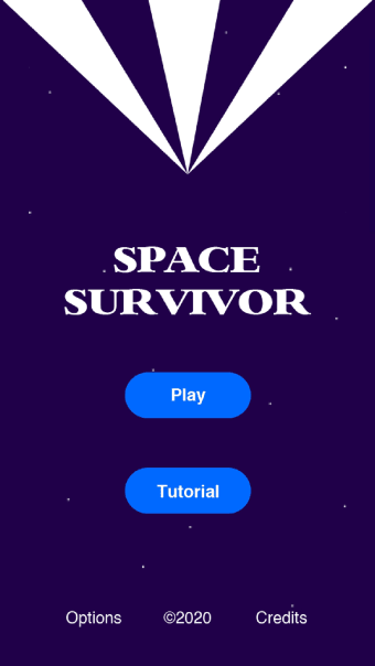 Space Survivor - Play Now