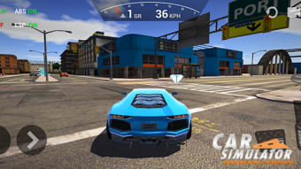 Car Simulator: Steering Wheel Possessor