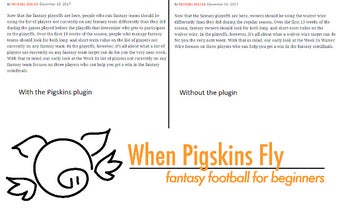 WhenPigskinsFly De-Jargoner