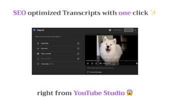 Grow your Channel with SEO | Tube Transcripts
