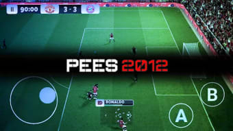 Play PEES 2012