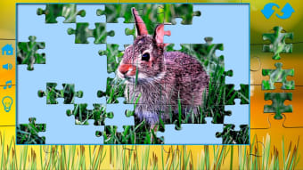 Puzzles for adults the nature
