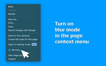 BlurZilla — Blur text in one click