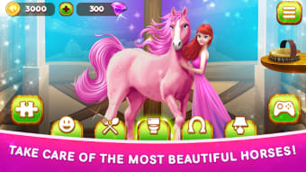 Princess Horse Caring 3