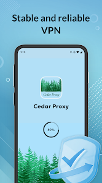 Cedar Proxy - Stable VPN