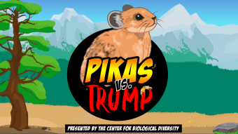 Pikas vs. Trump