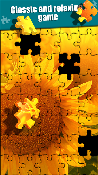 Jigsaw Puzzle.