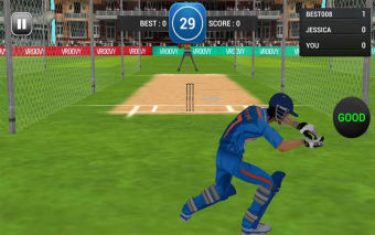 MS Dhoni:The Untold Story Game