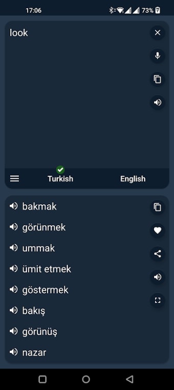 Turkish - English Translator