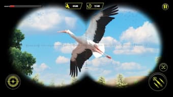 Wild Bird hunter: Shooter Game