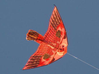 Free Kite fly Screensaver