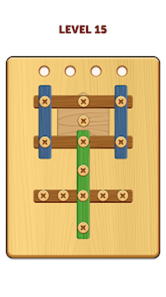 Wood Screw  Nuts Puzzle