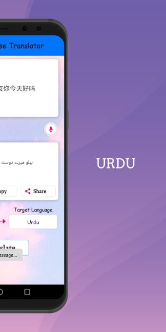 Urdu - Chinese Translator Free