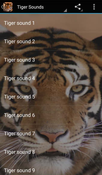 Tiger Sounds