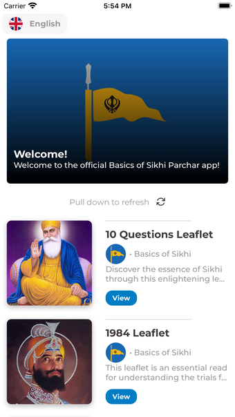 Basics of Sikhi Street Parchar