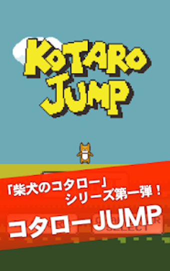 Shibainu Kotaro Jump