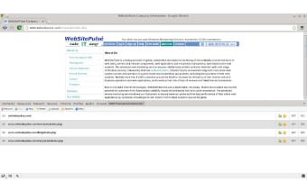 WebSitePulse Transaction Recorder