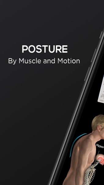 Posture by Muscle  Motion