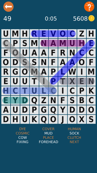 Word Search Word Puzzle