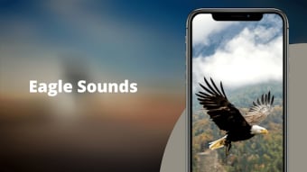 Eagle Sounds
