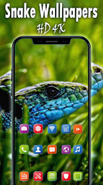 Snake Wallpapers HD Snake Backgrounds 2019 free