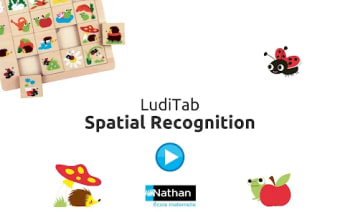 LudiTab Spatial Recognition
