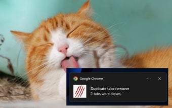 Duplicate tabs closer