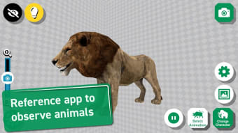 African Animals 3D