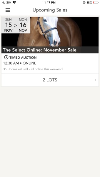 Select Online Horse Sales