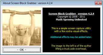 Screen Block Grabber